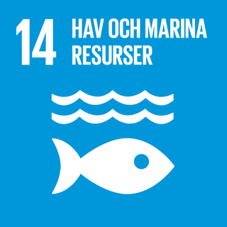 Mål 14